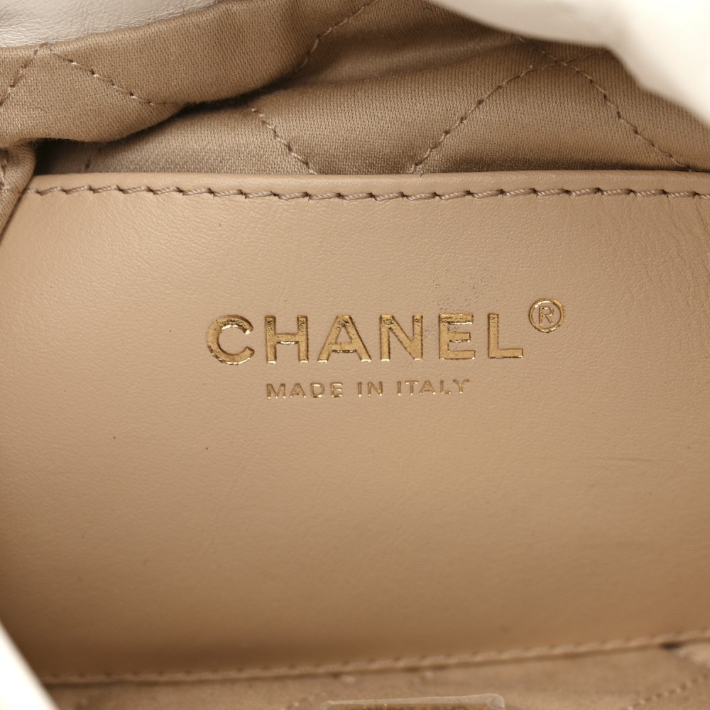 Shiny Calfskin Quilted Mini Chanel 22 White