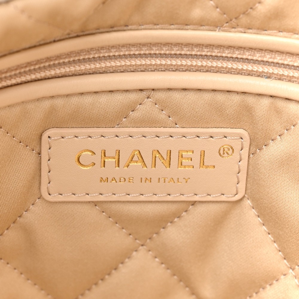 Shiny Calfskin Quilted Small Chanel 22 White