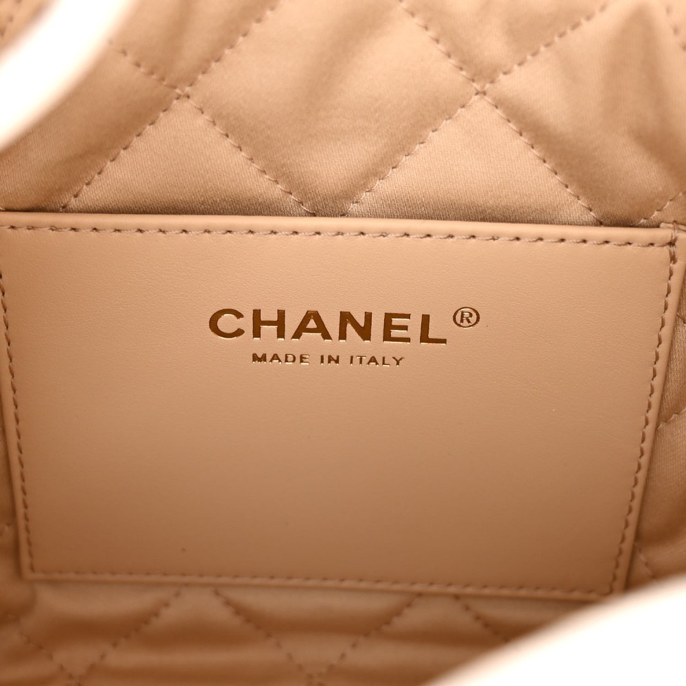 Shiny Calfskin Quilted Mini Chanel 22 White