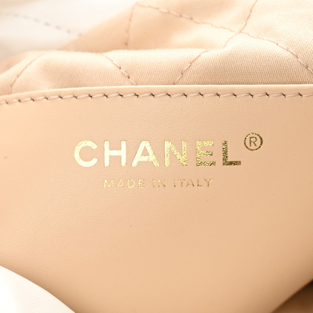 Shiny Calfskin Quilted Mini Chanel 22 White