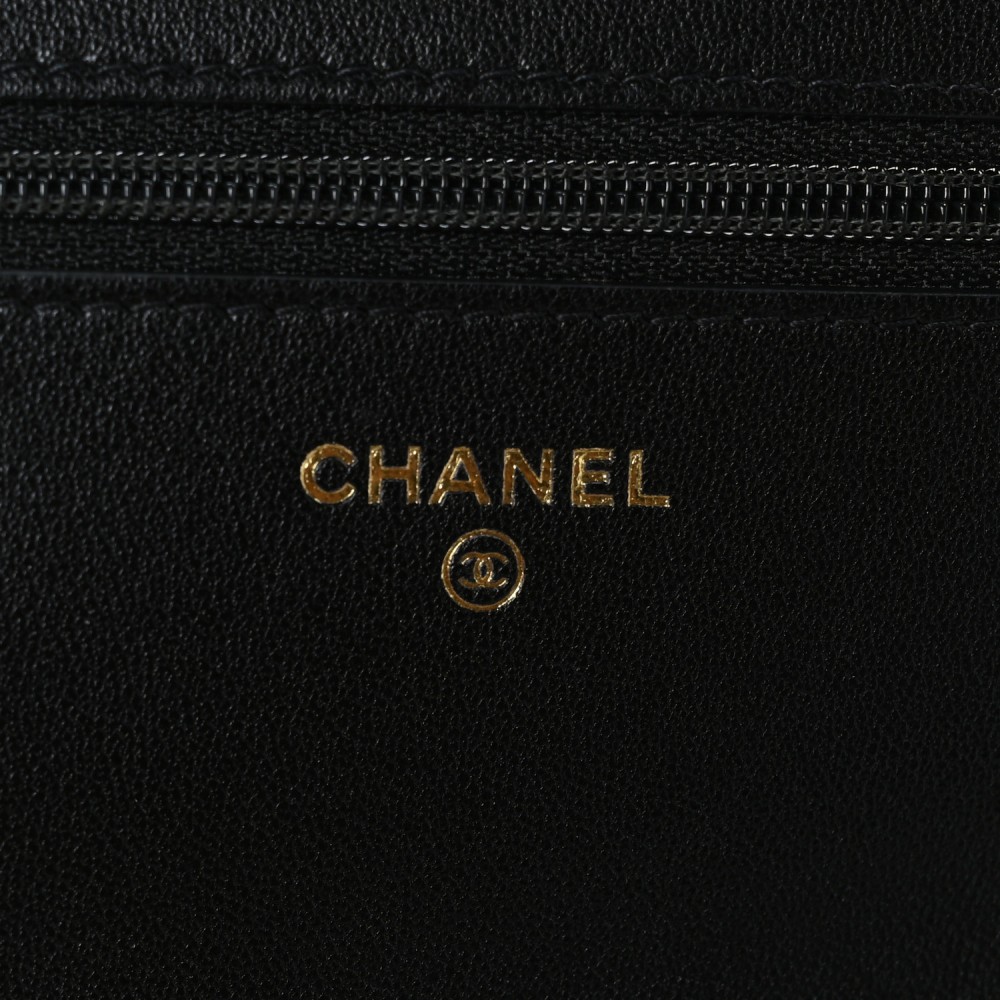 Lambskin Quilted Chanel 19 Wallet On Chain WOC Black