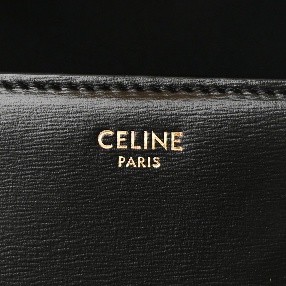 Shiny Calfskin Small Triomphe Black