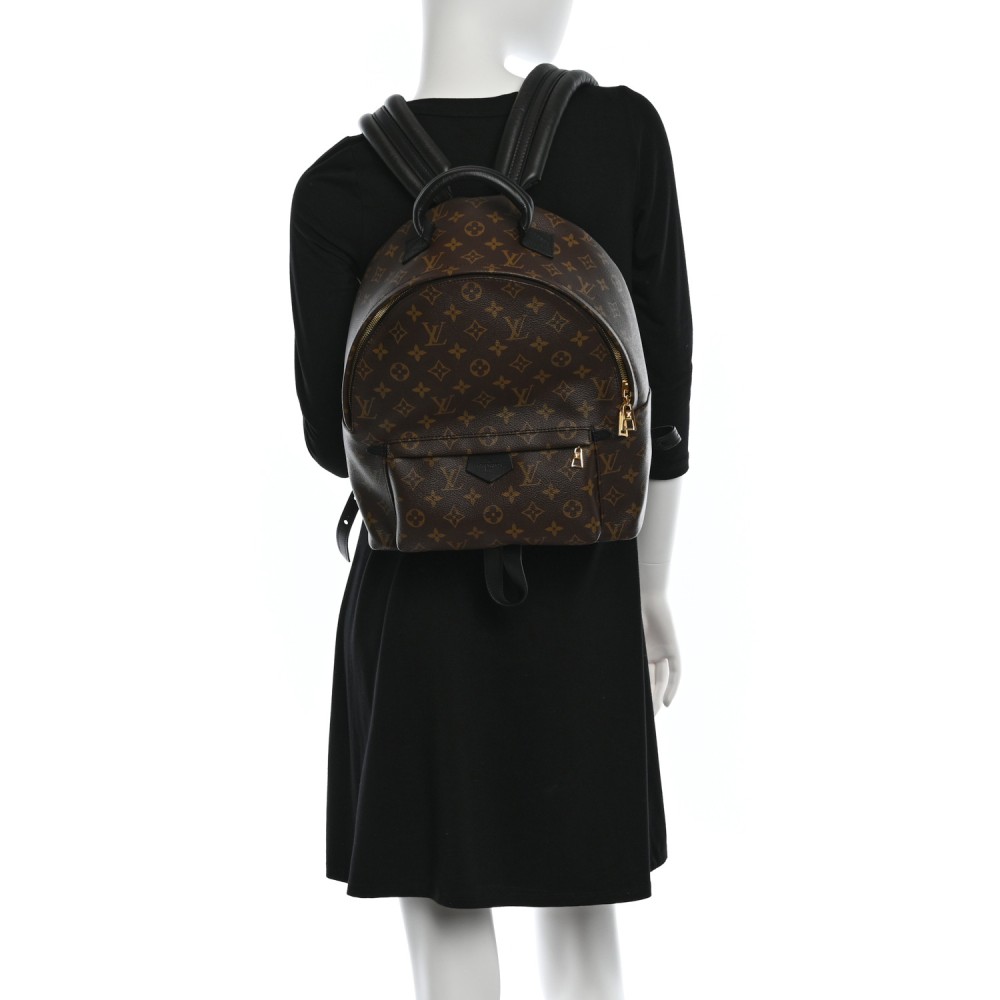 Monogram Palm Springs Backpack MM