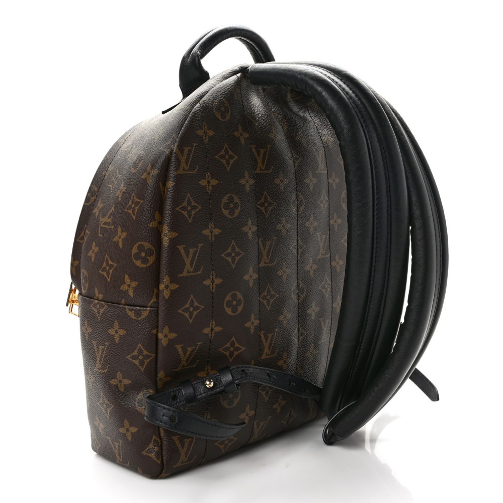 Monogram Palm Springs Backpack MM