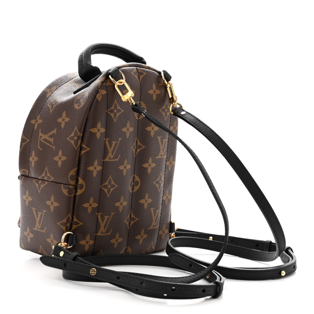 Monogram Palm Springs Backpack Mini