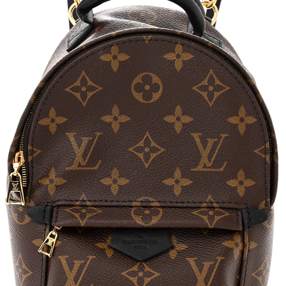 Monogram Palm Springs Backpack Mini